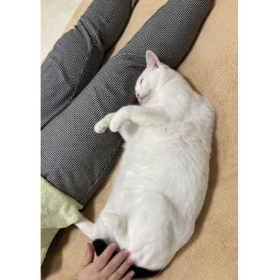 しーちゃん
